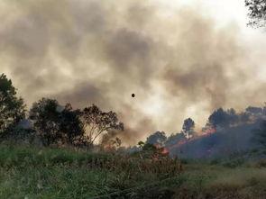 桂平最新爆料事件视频,视频揭露惊人真相！